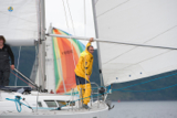 whyw13 wed 8028